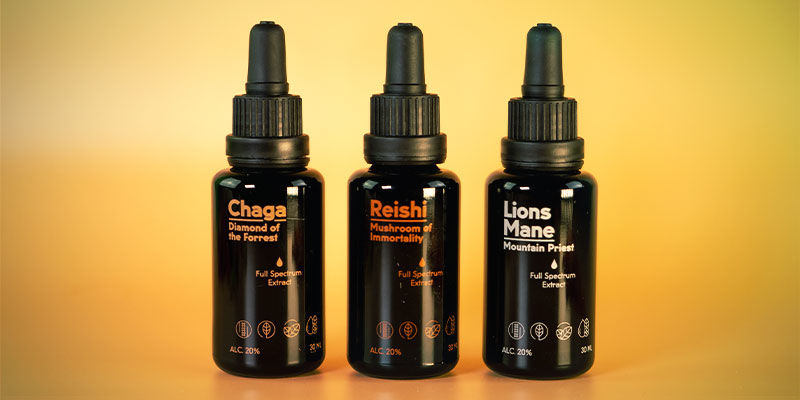 Do czego służy nalewka z grzybów?