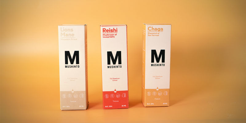 Czym jest nalewka z grzybów?