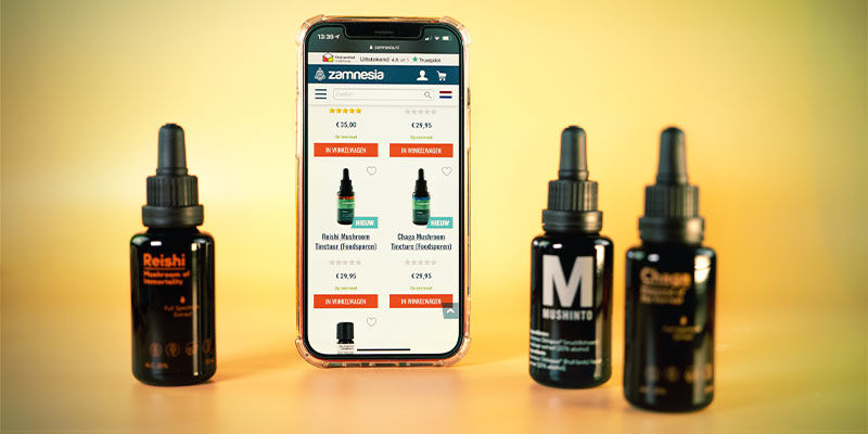 Gdzie kupić nalewki z grzybów