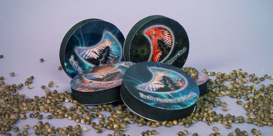 What Are the Best Cannabis Strains by GeneSeeds? The Best Cannabis Strains GeneSeeds