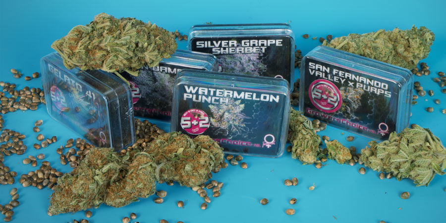 Kim jest Growers Choice?