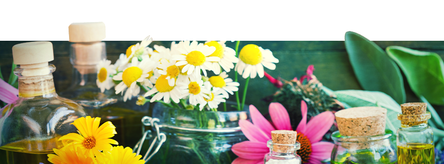 Information About the Zamnesia Smartshop