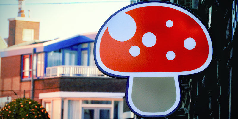 What Is A Smartshop?