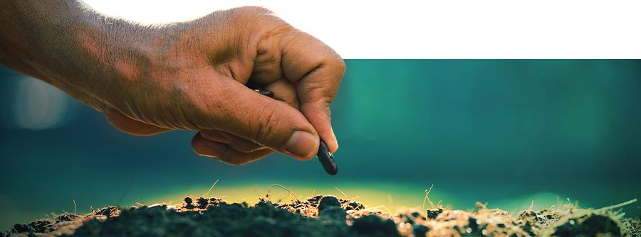 Smart Seeds - Grow Natural Psychedelics And Ancient Aphrodisiacs At Home