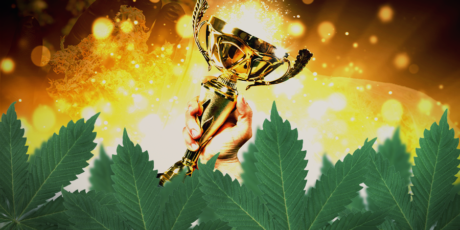 Are Sensi Seeds Any Good?