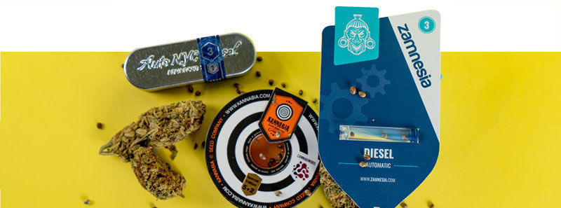 About Diesel Strains About Diesel Strains