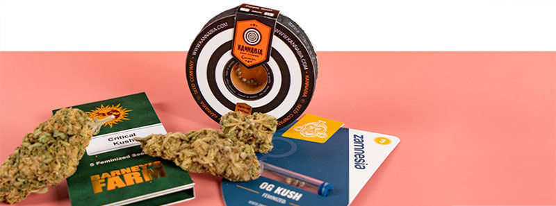 About Kush Strains About Kush Strains