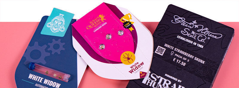 About White Widow Strains