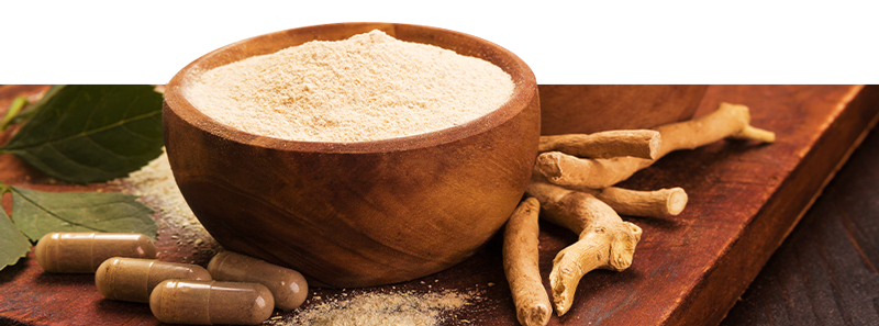 Buy Ayurveda Products Online at Zamnesia