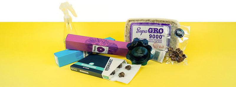 Wszystko, czego potrzebujesz do intensywnych tripów psylocybinowych i mikrodawkowania