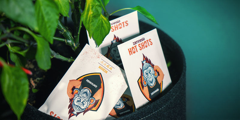 How To Choose The Best Chili Pepper Seeds How To Choose The Best Chili Pepper Seeds