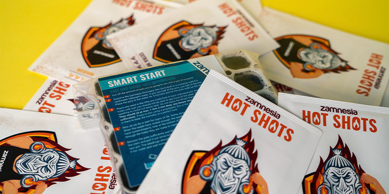 How To Germinate Chili Pepper Seeds Growing Chili Peppers - How To Germinate Chili Pepper Seeds