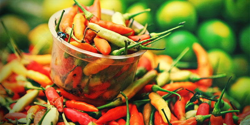Why Grow Your Own Chili Peppers? Why Grow Your Own Chili Peppers?