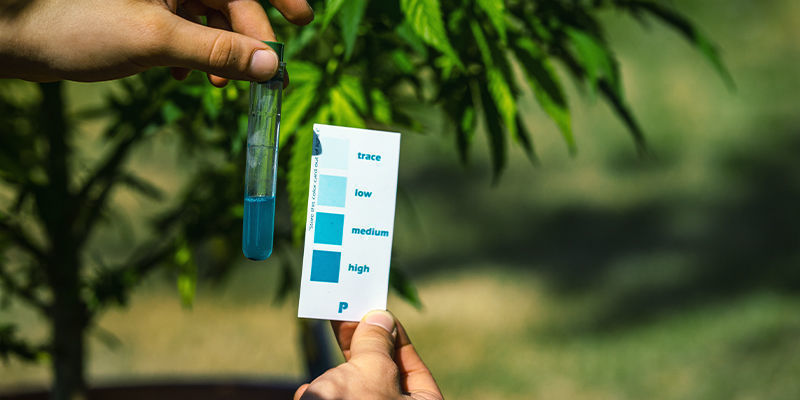 Niedobory składników odżywczych