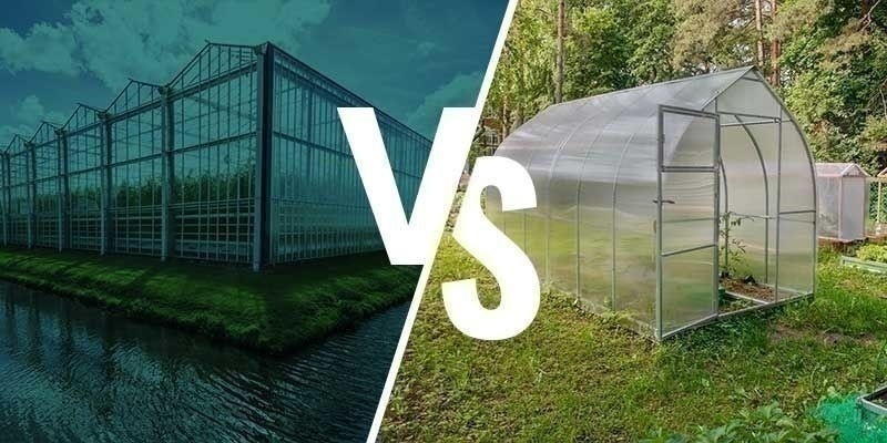 Różnice między uprawą w szklarni a w ogrodzie zimowym