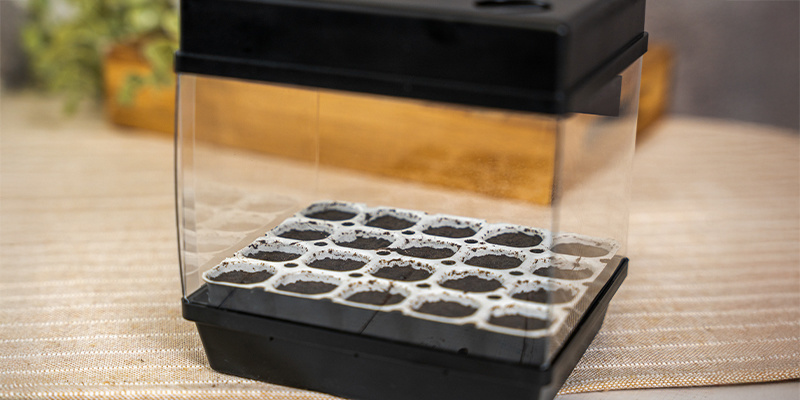 1. Kiełkowanie nasion marihuany za pomocą zestawu do kiełkowania