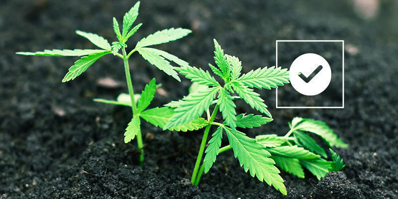 Rozwiązanie problemów z podłożem