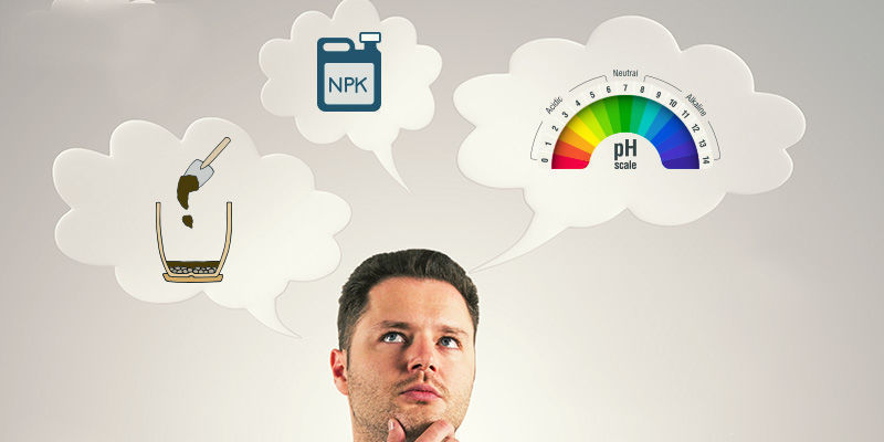 Co wziąć pod uwagę przy wyborze ziemi do uprawy marihuany