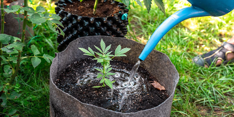 Przelewanie i przesuszanie