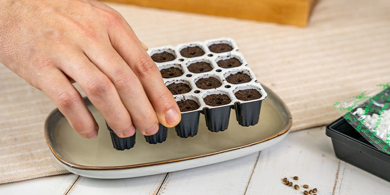 Umieść Smart Start w roztworze i zostaw na 5 minut