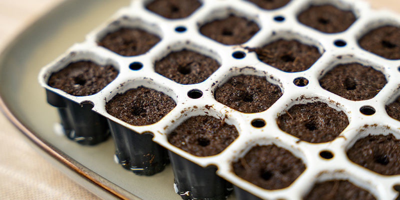 Po 5 minutach doniczki wchłoną cały potrzebny roztwór Stimulator