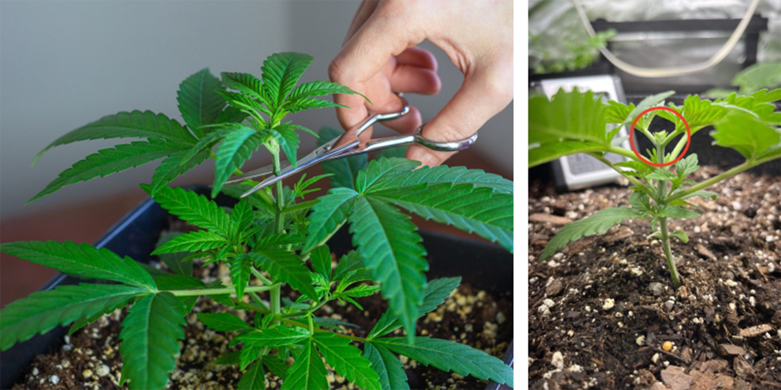 Instrukcje (krok po kroku)