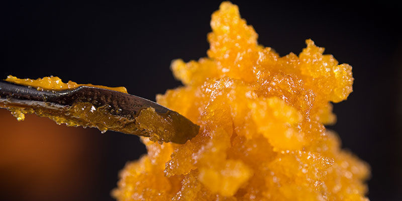 Izolowanie trichomów Izolowanie trichomów