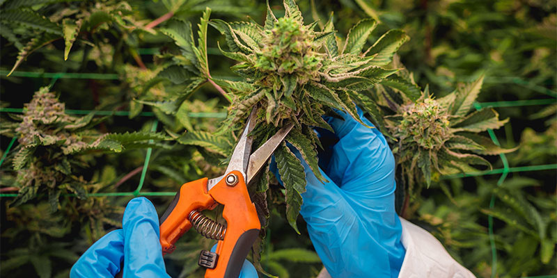 Najczęstsze błędy, których warto unikać