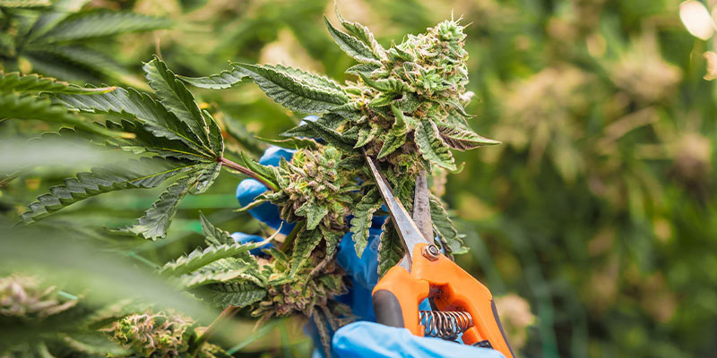 Zbiory zakończone: co dalej?