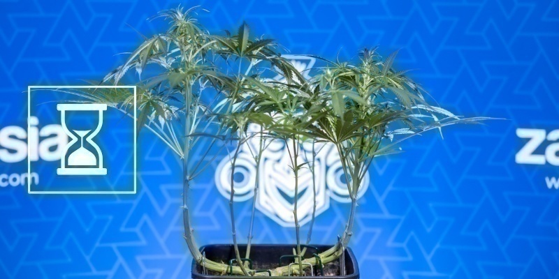 Najczęstsze błędy, których warto unikać