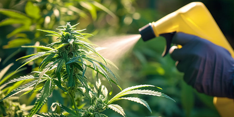 Wprowadzenie do integrowanej ochrony przed szkodnikami