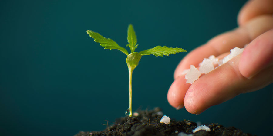 NPK: Nie przesadzaj!