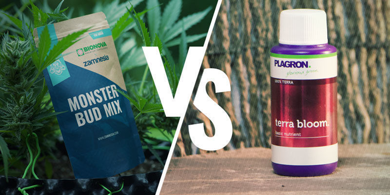 Organiczny kontra syntetyczny nawóz NPK