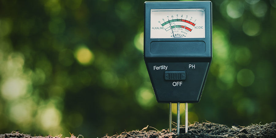 Znaczenie pH i mikroelementów