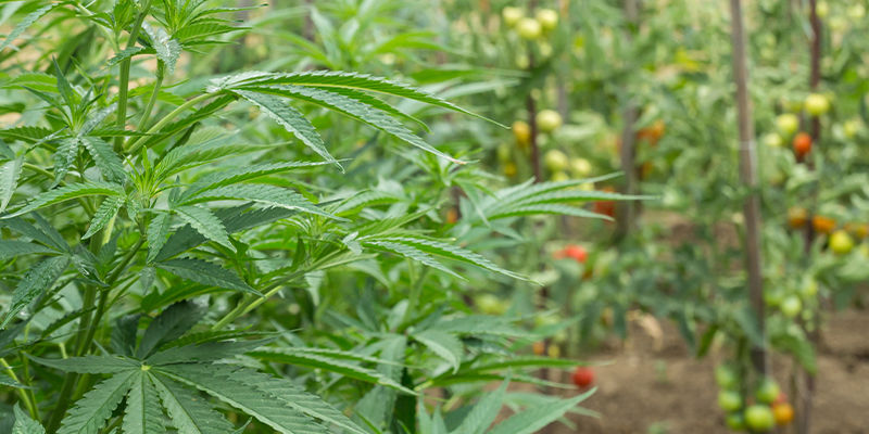 Nie zapomnij zachować równowagi między dyskrecją a łatwym dostępem