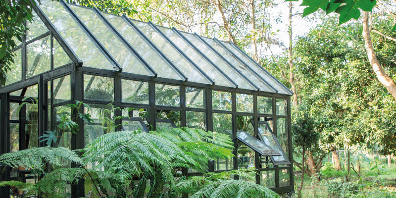 Jak zamaskować rośliny marihuany uprawiane na zewnątrz