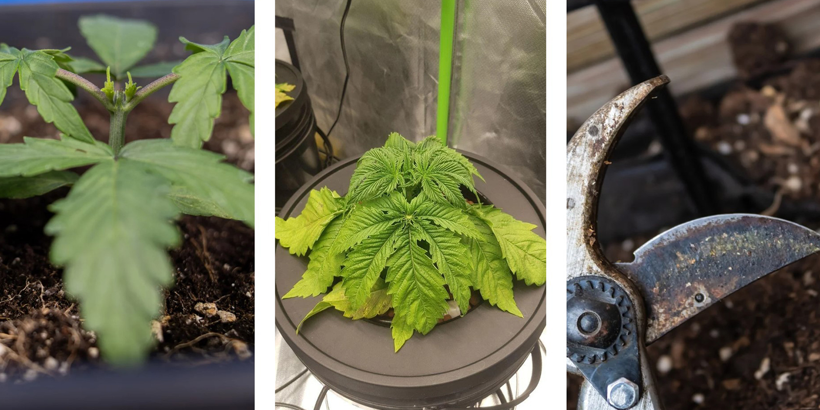 Najczęstsze błędy, których warto unikać