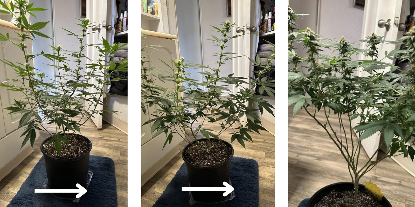 2. Pracuj od góry do dołu