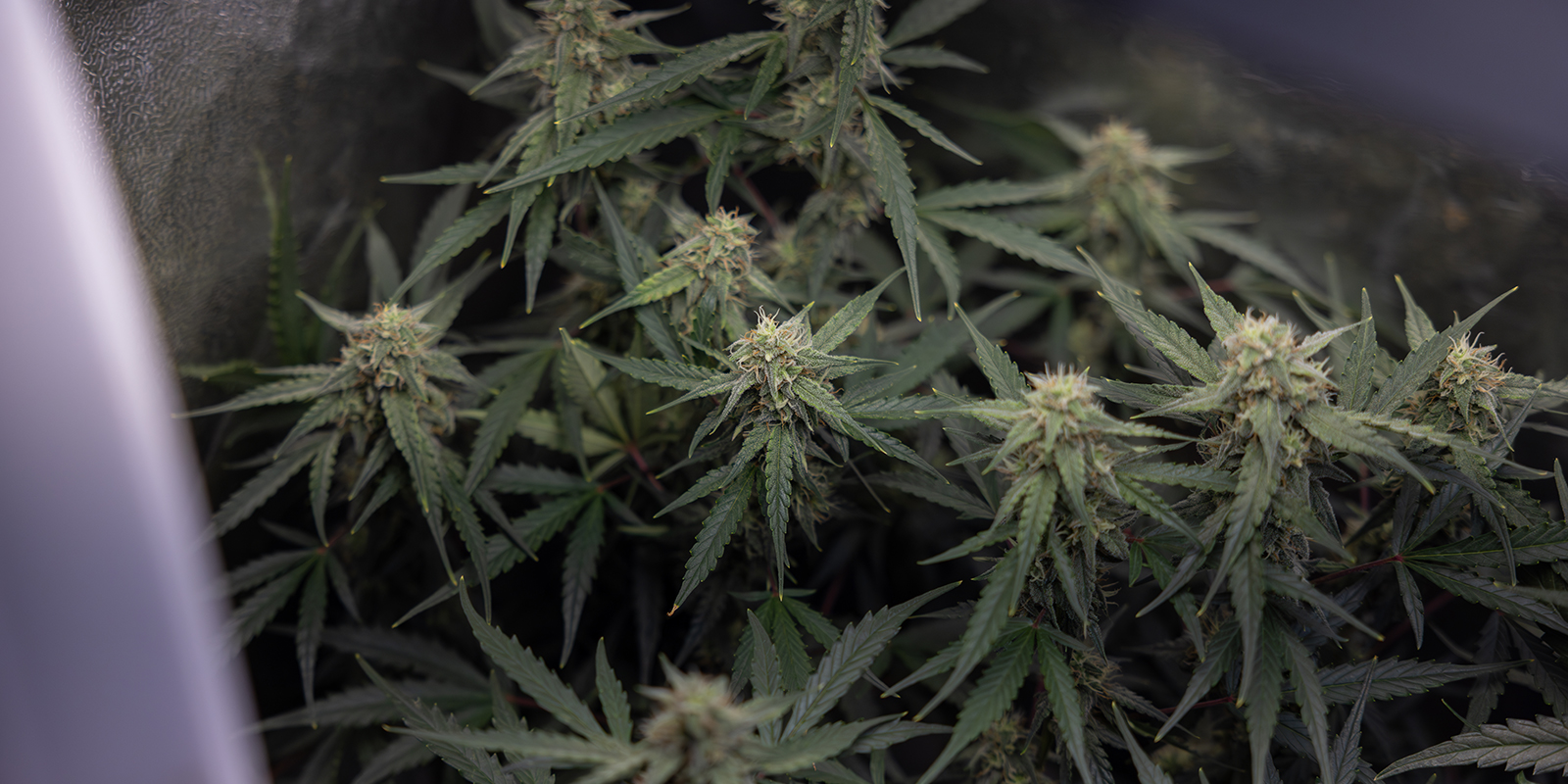 Najlepsze praktyki i odpowiedni moment