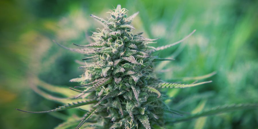 Czym są automaty? Czym są automaty?