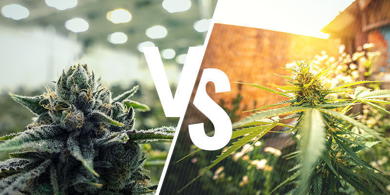 Indoor Or Outdoor Indoor or outdoor