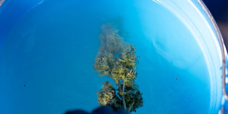 Krok 3: Zanurzenie w wiadrze nr 1