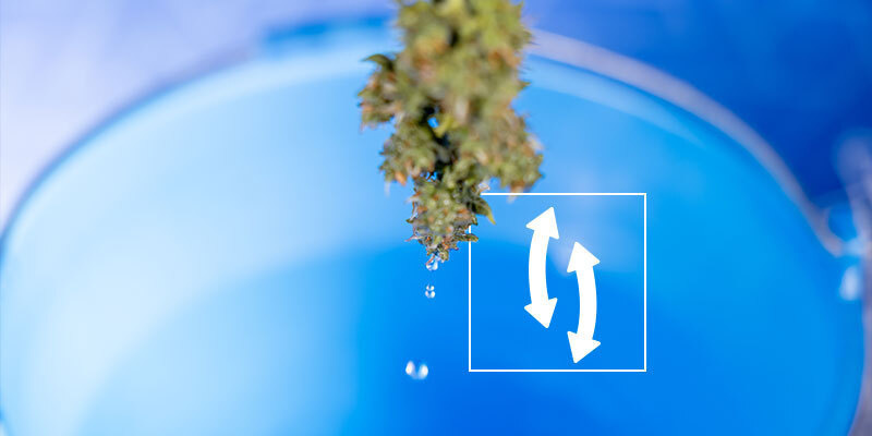 Krok 4: Strząśnij nadmiar wody