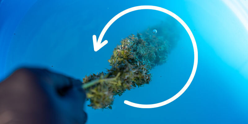 Krok 5: Płukanie w wiadrze 2