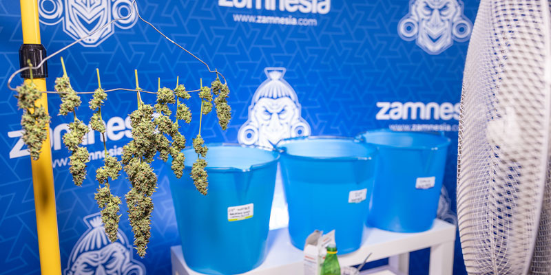 Krok 7: Powieś do wyschnięcia