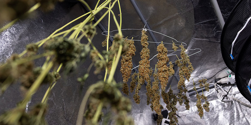 Najlepsze praktyki suszenia po myciu topów