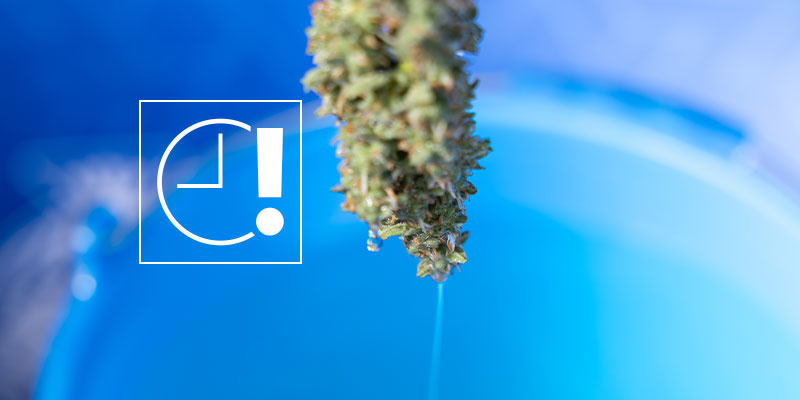 Najczęstsze błędy, których warto unikać