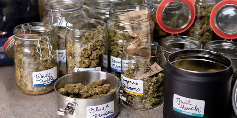 Mycie topów marihuany: tak czy nie?