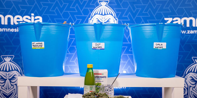 Dlaczego warto myć topy?