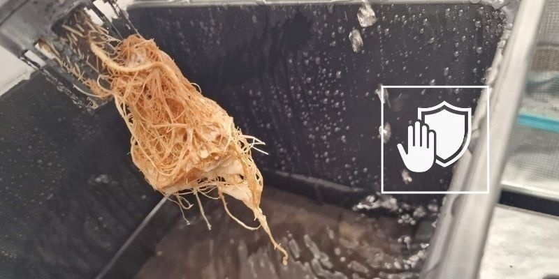 Zapobieganie gniciu korzeni w przyszłości